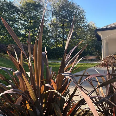 The Iconic Bed & Breakfast Bellagio