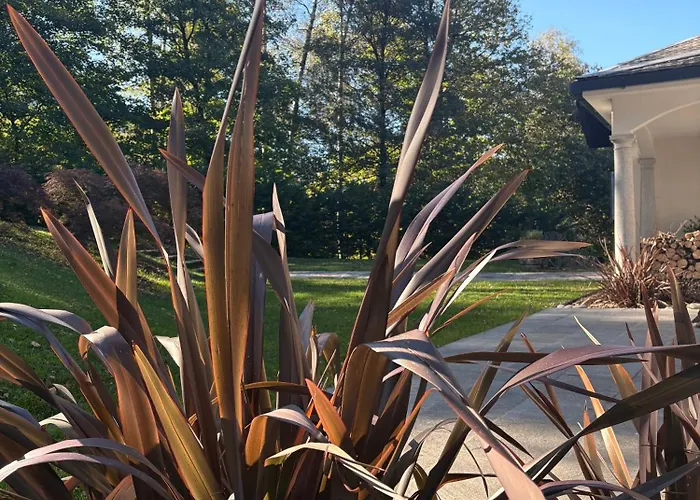 The Iconic Bed and breakfast Bellagio